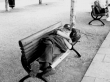 Concours la Métropole en photo -  Antoine Royer - La siesta